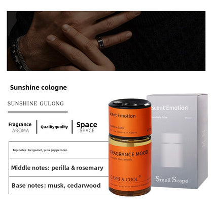 Aroma Diffuser - 500ml