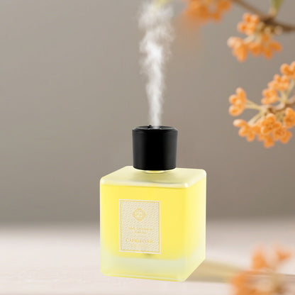 Aroma Diffuser - 500ml